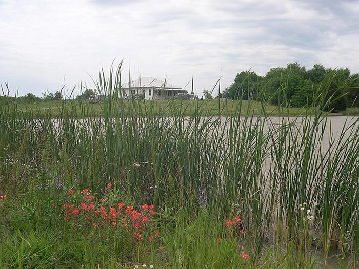 [Thumbnail for House & Pond. - smaller than half-size.jpg]